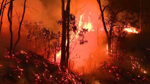 A 19-year-old Mount Morgan man has been charged over seven fires police will allege were deliberately lit.