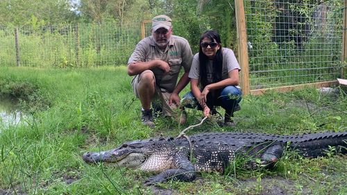 Croc Encounters Alligator