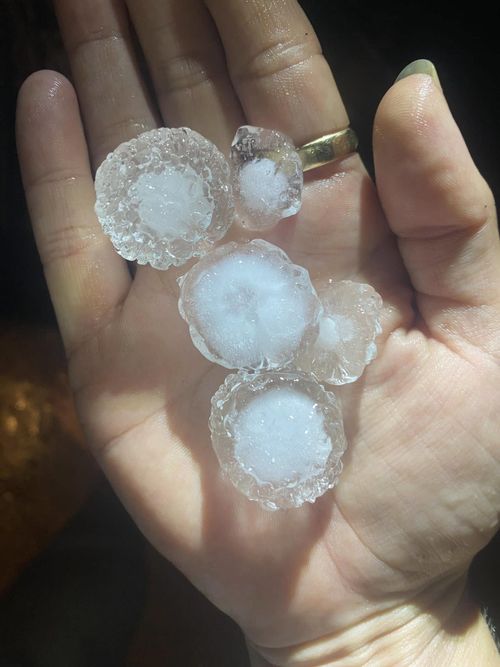 Golf-ball sized hailstones in Lockhart NSW 