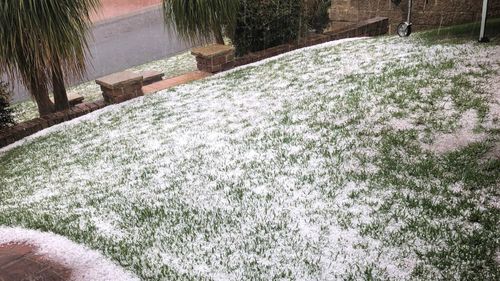 Residents have filmed hail hitting St Helens Park. (Twitter)