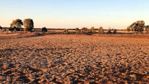 The land is so dry not even weeds will grow.