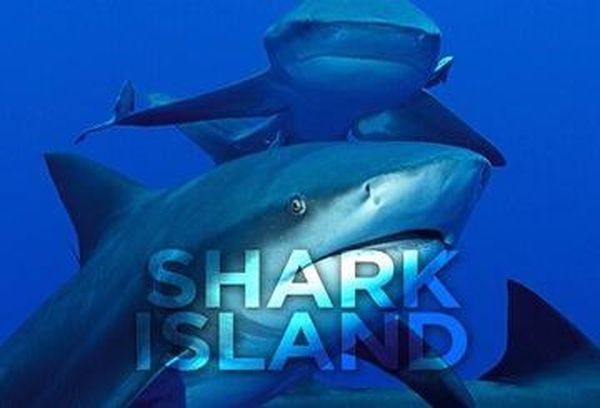 Shark Island