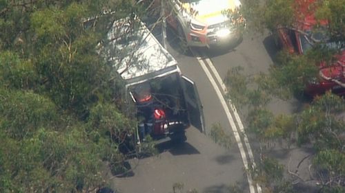 A teenager has been charged after a cyclist was hit and had to be resuscitated in the Ku-ring-gai national park. 