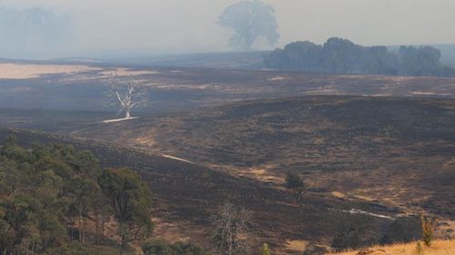 The devastated area of Scotsdale. (AAP)