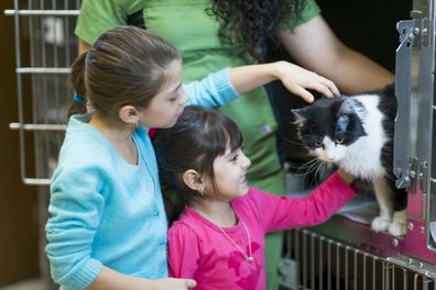 Kids with a cat at animal shelter.
