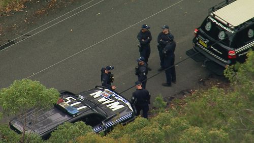 Cerca nella boscaglia il nonno di Sydney, Chris Baghsarian