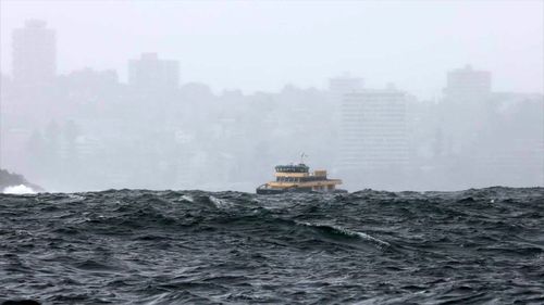 Manly ferries have been cancelled due to the large swell.