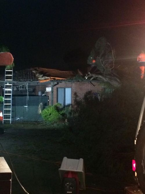 A home in Forrestfield is uninhabitable after a tree came down overnight. (9NEWS)