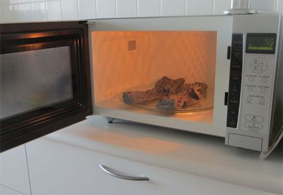 Warming socks in the microwave