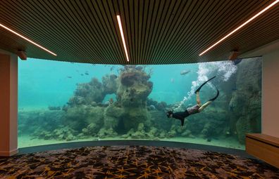Daydream Island's new subterranean Underwater Observatory looks into the Living Reef tank.