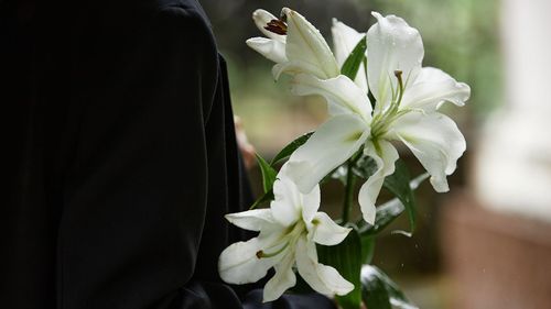 Close up on white lilies in hands of unrecognizable person wearing black suit while raindrops gently dripping on delicate petals, copy space