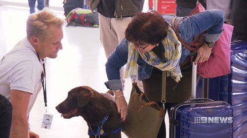 Sydney International Airport has launched emBark, which brings service dogs to the check-in area.