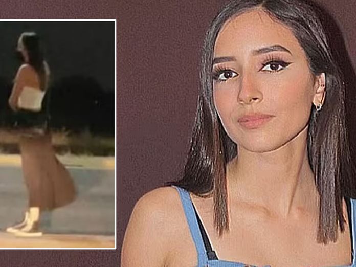Debanhi Escobar: Woman's body found after left by side of Mexican road