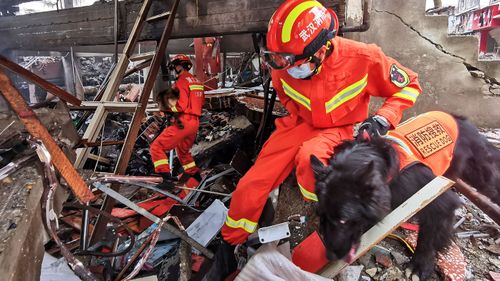 A sniffer dog team looks for survivors and victims in the aftermath of a gas explosion in China.