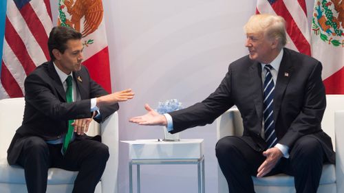 US President Donald Trump and Mexican President Enrique Pena Nieto hold a meeting on the sidelines of the G20 Summit in Hamburg, Germany, on July 7, 2017. (AFP)