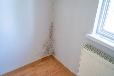 Wall Damaged By Black Mould And Fungus In Bedroom