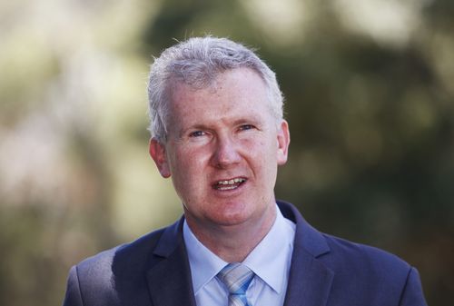 Labor MP Tony Burke has called Senator Anning's speech "bile".