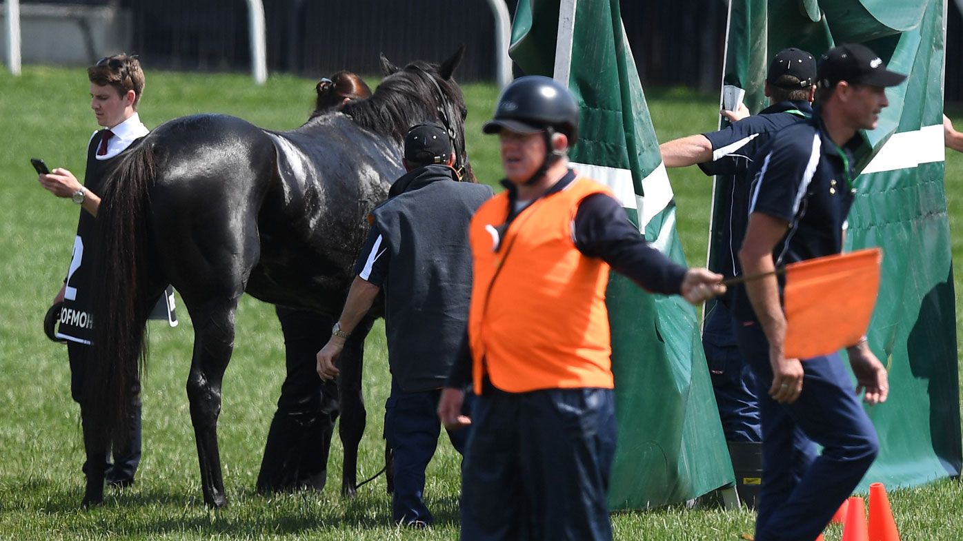 Melbourne Cup 2018: The Cliffsofmoher's race breakdown death sparks outrage