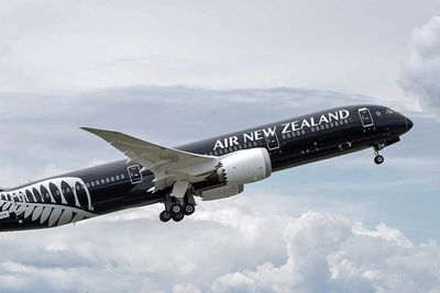<strong>17. Air New Zealand</strong>