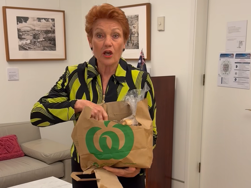 Pauline Hanson One Nation senator Queensland Woolworths shopping bag