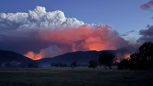 Incêndio florestal visto em Walwa, Victoria