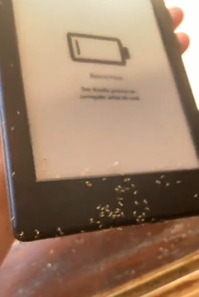 Ants in Amazon Kindle