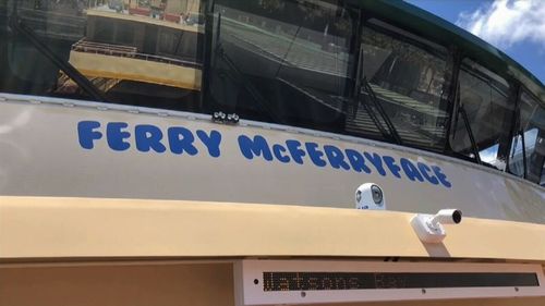 Sydney's controversial ferry, Ferry McFerryface, crashed into a wharf at Balmain East this morning while carrying passengers (9NEWS).