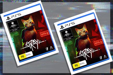 Stray video game for PlayStation 5