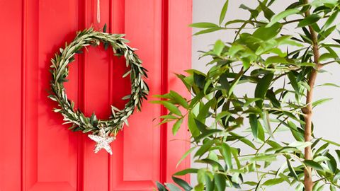 Olive branch wreath