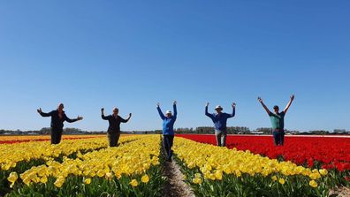 Dutch Daffodils message to tourists
