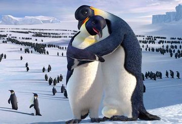 Happy Feet