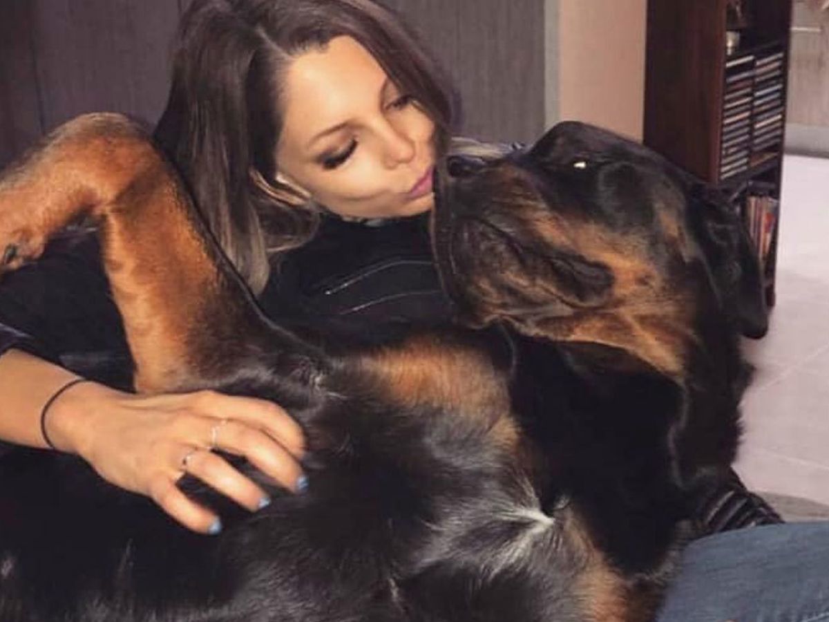 Nikita Piil condition update: Perth woman has surgery to save arm after  being mauled by her Rottweilers