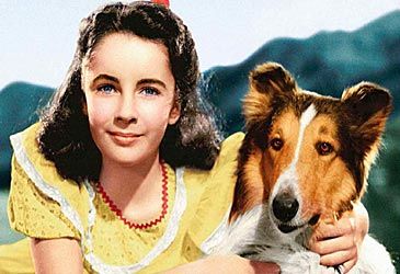 When was Lassie Come Home released in cinemas?