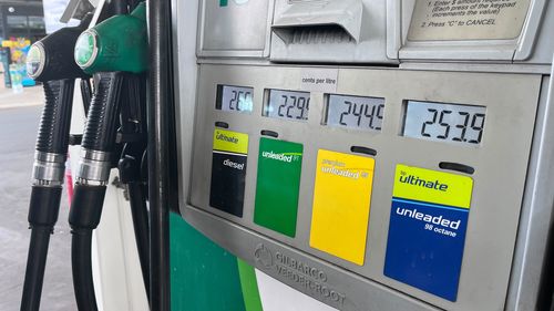 Prezzi elevati della benzina al distributore di carburante.