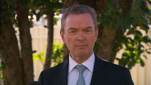 Liberal frontbencher Christopher Pyne said Mr Albanese had directly contradicted Mr Shorten's "war with business" approach in his address. Picture: 9NEWS