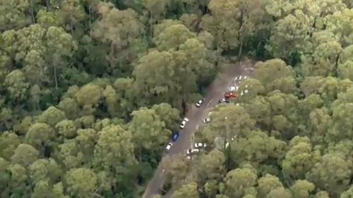 Young boy seriously injured by falling branch in Victoria