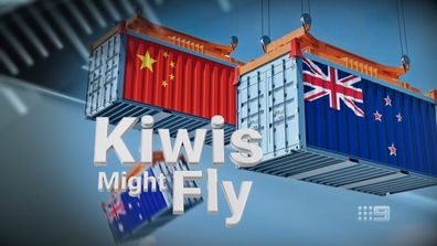 Kiwis Might Fly: Part one