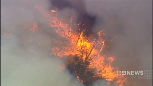 Lightning is believed to have sparked the fires. (9NEWS)