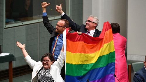 Crossbenchers Cathy McGowan, Adam Brandt and Andrew Wilkie wave a flag to celebrate the passing. (AAP)