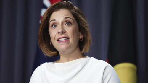 Ministro dos Cuidados idosos e Ministro do Esporte Anika Wells durante uma conferência de imprensa na Parliament House em Canberra na segunda -feira, 25 de novembro de 2024. Fedpol Foto: Alex Ellinghausen