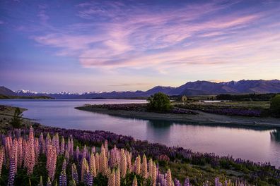 Lake Tekapo at dawn, New Zealand South Island.