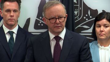 Anthony Albanese speaking at a national cabinet press conference.