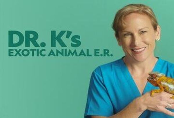 Dr. K's Exotic Animal ER