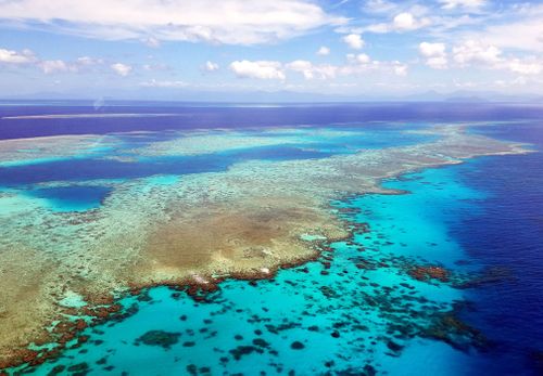 “If we fail, the Arctic and the Antarctic will continue to melt, corals will bleach and then die, the oceans will rise, more people will die from air pollution, water scarcity will plague a significant proportion of humanity, and the cost of disasters will skyrocket."