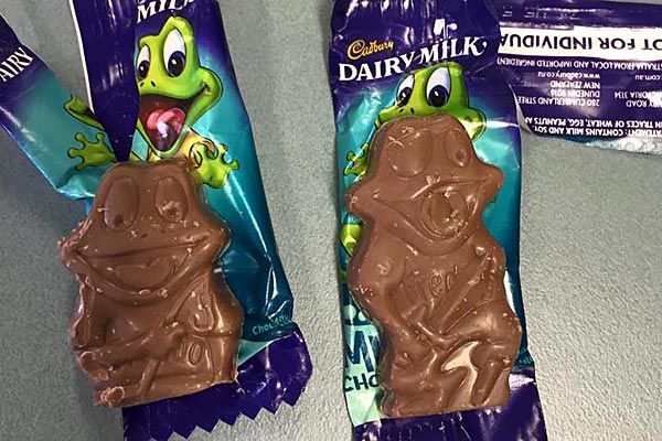 The incredibly shrinking Freddo - the chocolate is now 12g, down from 15g. (Cadbury/Facebook)