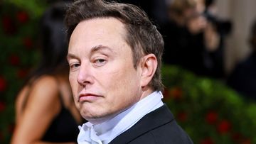 Tesla&#x27;s billionaire CEO Elon Musk