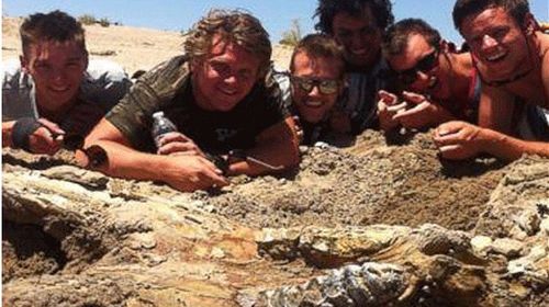 Bachelor party finds mastodon skull