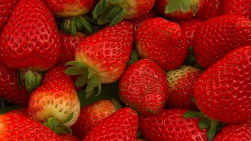 Ripe for the picking: supermarkets and consumers have vowed to support local strawberry growers.