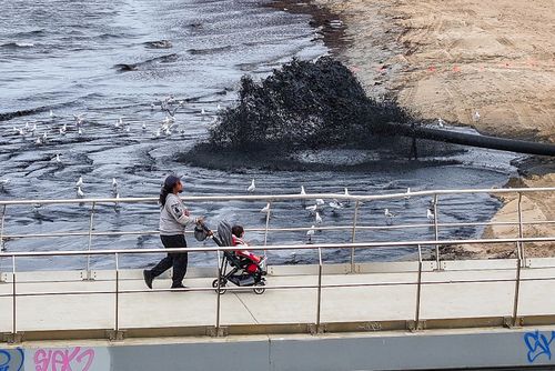 A Praia de St Kilda apresenta água preta, sujeira, lixo e cheiros devido à dragagem na entrada da Marina de St Kilda. 12 de novembro de 2025, The Age news Foto de JOE ARMAO