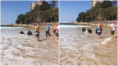 A rescue team worked to rescue the animal. (Supplied via Donna Holland)